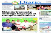 El Diario Martinense 25 de Julio de 2015