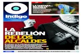 Reporte Indigo: LA REBELIÓN DE LOS ALCALDES 6 Agosto 2015