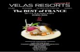 Newsletter #8 | Velas Resorts | ES