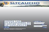 Revista SLTCaucho - Edición N°9