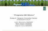Caso de estudio: Programa GEI México