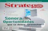 Edición 42 Revista Stratego