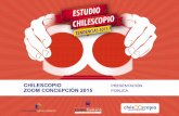 Presentación Pública Chilescopio Zoom Concepción 2015