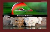 Revista reino animal sobre animales exóticos