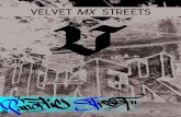 Entrevista a Howek, por Velvet Mexican Streets y Panoptic Street