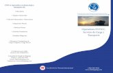CFSI Spanish Brochure