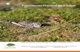 Boletín del Patrimonio Natural de Chiloé Vol. 1 Núm. 3