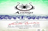 Programa de Santa Cecília 2015 | Unió Musical d'Albaida l'Aranya