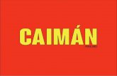 Presentacion Caiman Producciones
