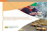Manual de aplicación práctica de las NIIF en el sector minero