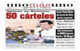22 de Enero 2016, Operan en Guerrero 50 cárteles