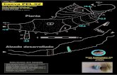 Topografía de la Cueva PEL-02 (Carcabuey)