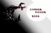 Cyprien Pichon - Book 2016