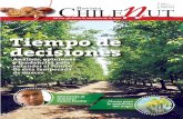 Revista Chilenut (abril 2015)