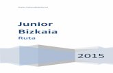 Temporada 2015 junior carretera en Bizkaia