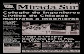 Colegio de ingenieros civiles de Chiapas maltrata a ingenieras