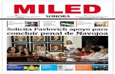 Miled Sonora 06-05-16