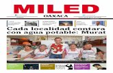 Miled Oaxaca 09 05 16