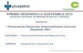 PDS 2013 - Pluspetrol - Promoviendo desarrollo emprendimiento comunal Segakiato SAC