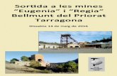 Sortida del GMC a les mines “Eugenia” i “Regia”, Bellmunt del Priorat, Tarragona
