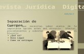 Revista Digital Separacion de Cuerpos