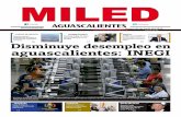 Miled Aguascalientes 03-06-16