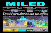 Miled Chihuahua 08 06 16