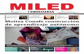 Miled Chihuahua 17 06 16