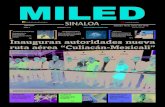 Miled Sinaloa 18 06 16