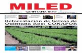 Miled Quintana Roo 01 07 16