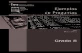 2007 Matemáticas Ejemplos de Preguntas: Grado 8