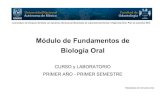 Módulo de Fundamentos de Biología Oral