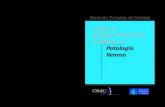 Guía de Buena Práctica Clínica en Patología venosa