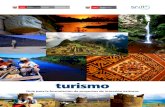 Guía Sector Turismo, a nivel de Perfil