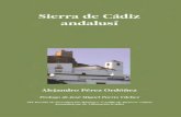 Sierra de Cádiz andalusí: arquitectura y urbanismo islámicos en la ...