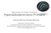 Guías De Hiperaldosteronismo – Dr. Carlos A. Builes