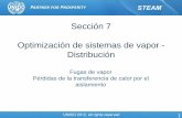 Sección 7 Optimización de sistemas de vapor - Distribución