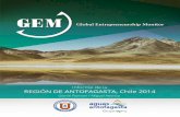 informe de la región de antofagasta, chile 2014