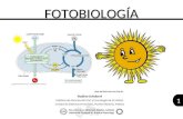 fotosíntesis y fluorescencia