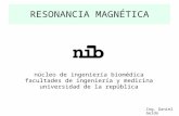 Principios e Instrumentación de Resonancia Magnética.
