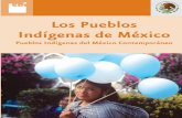 Los pueblos indígenas de México. Monografía Nacional