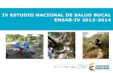 Presentación IV Estudio Nacional de Salud Bucal ENSAB 2013 - 2014
