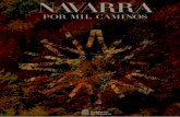 Navarra por mil caminos