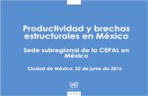 Productividad y brechas estructurales en México