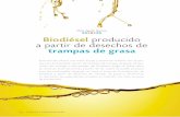 Biodiésel producido a partir de desechos de trampas de grasa