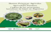 Buenas Prácticas Agrícolas para Agricultura Familiar Cadena de las ...