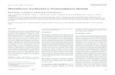 Mamiferos Evolucion y nomenclatura dental.pdf