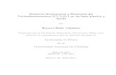 Dinámica Orientacional y Rotacional del Triclorobromometano ...