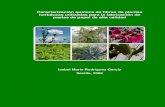 Caracterización química de fibras de plantas herbáceas utilizadas ...