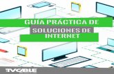 Guía Práctica de Soluciones Internet